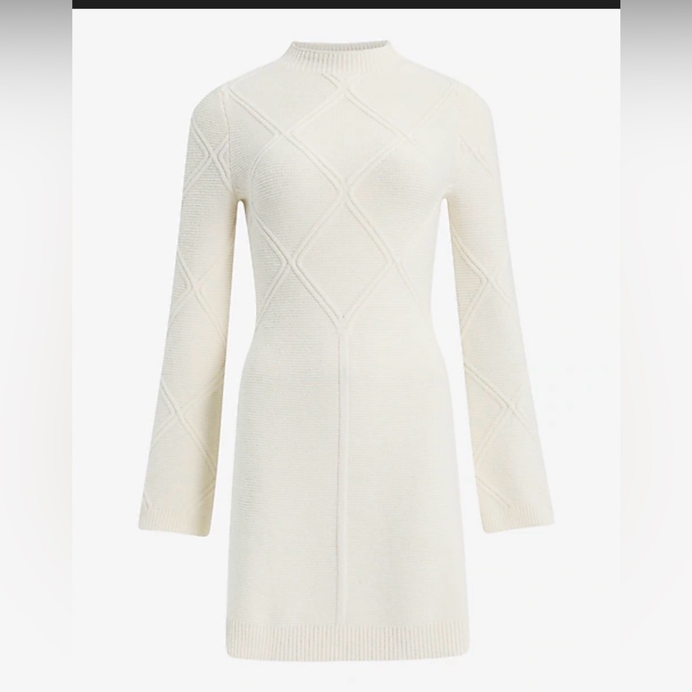 Express sweater dress